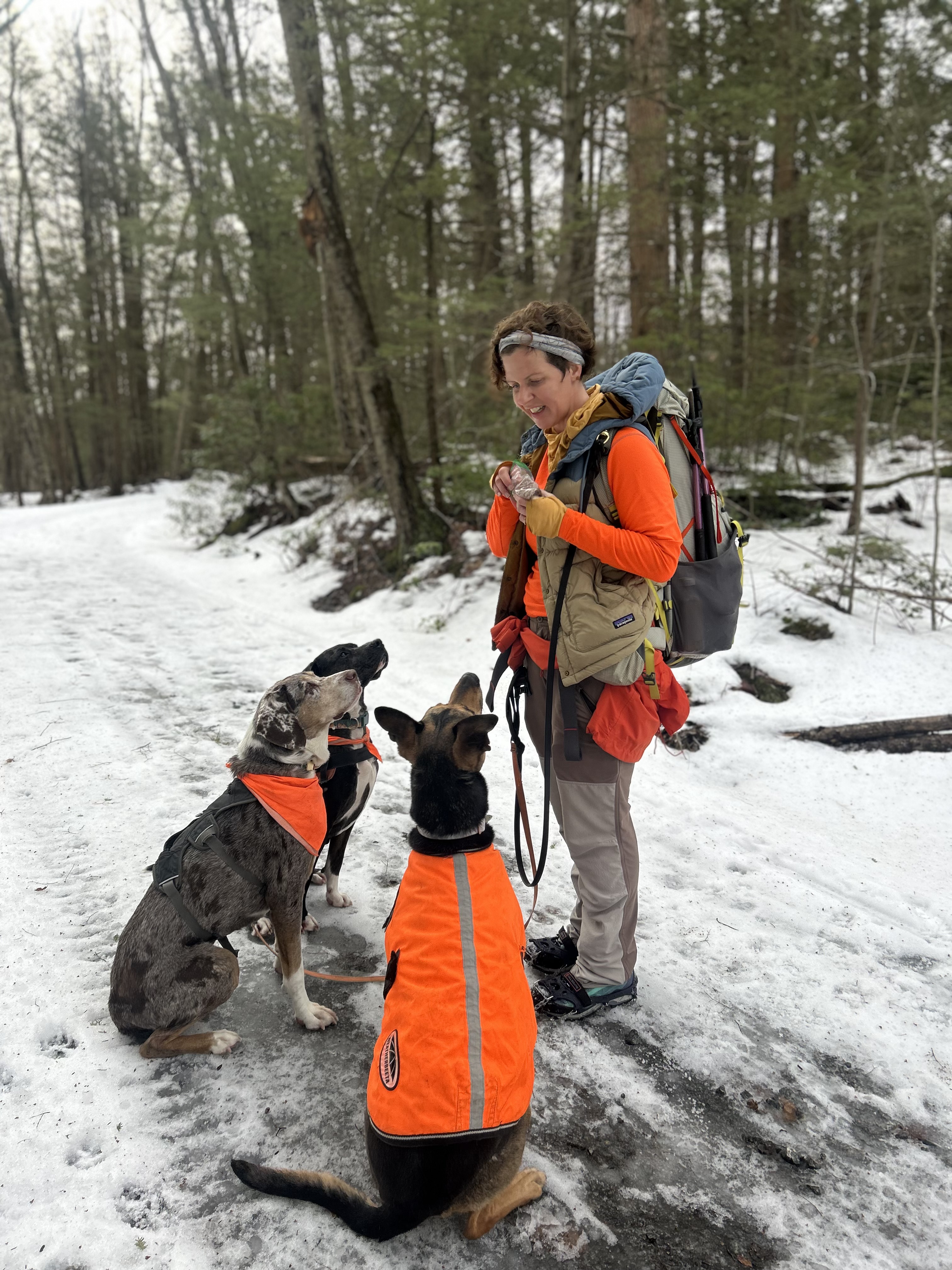 Attachment 3 dogs.jpeg