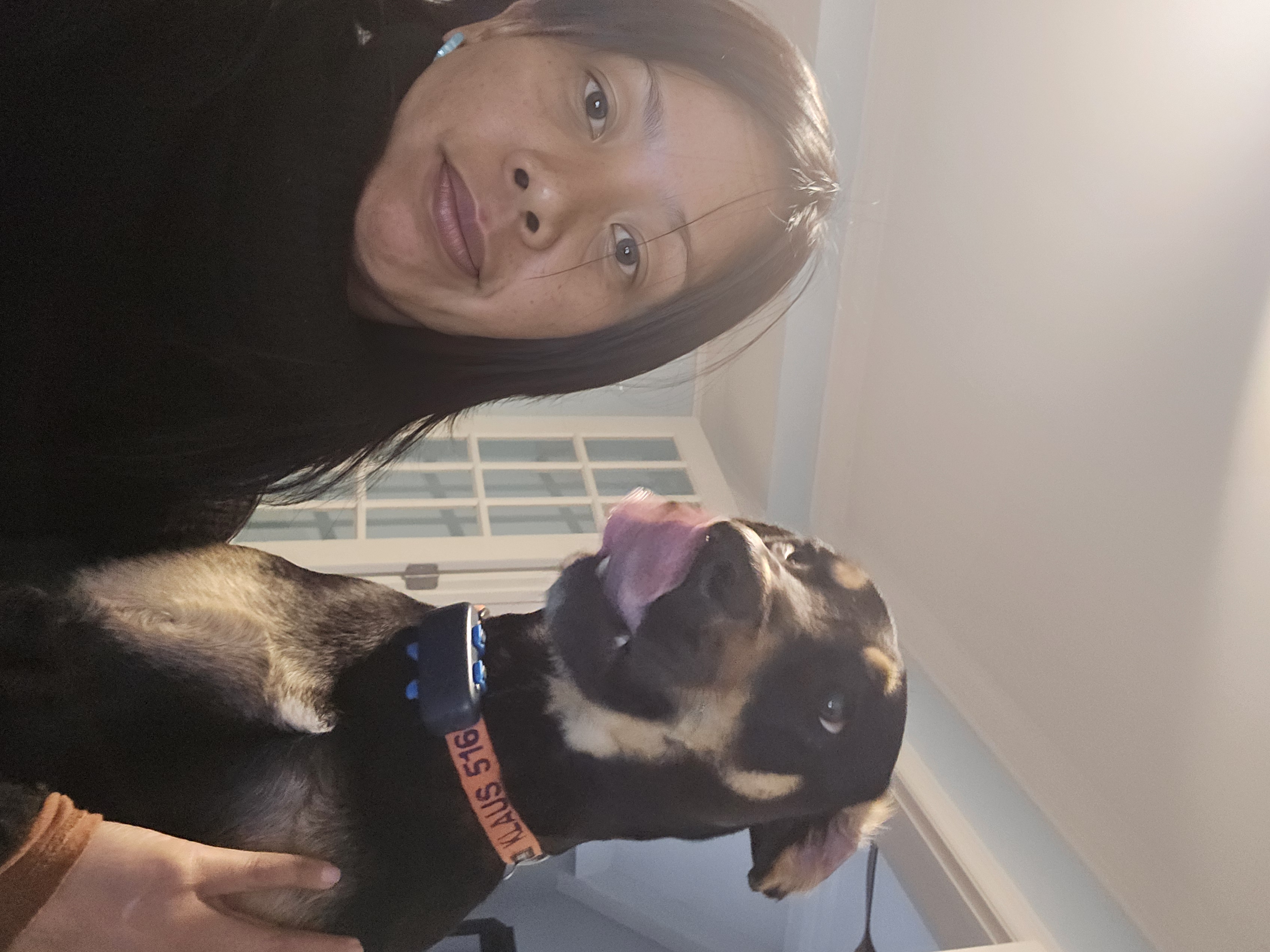 Attachment 20241209_145248.jpg