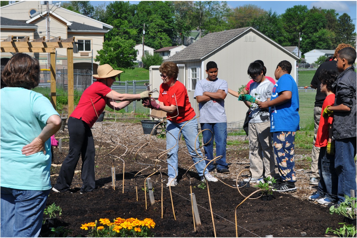 community garden
