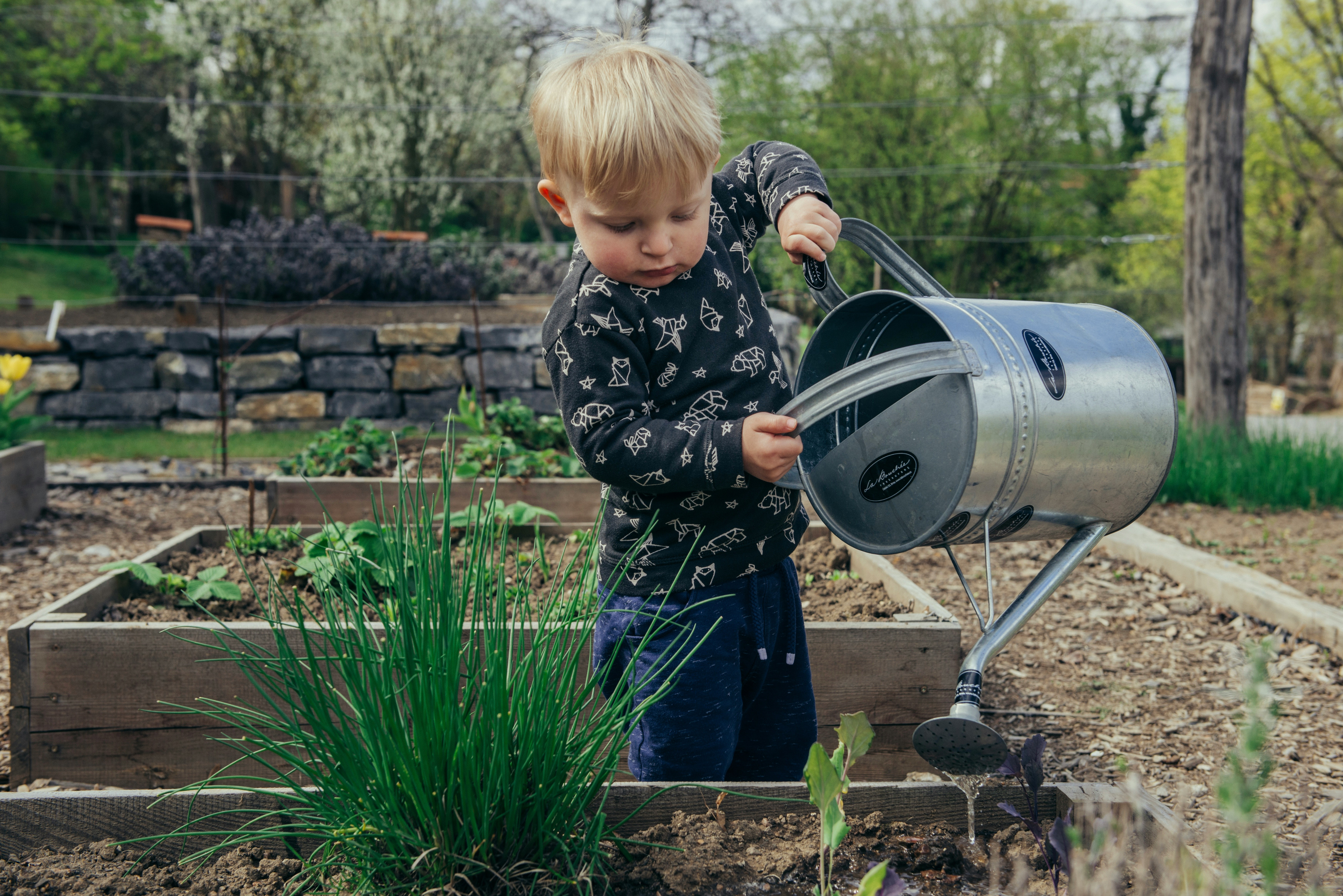 Boy watering garden