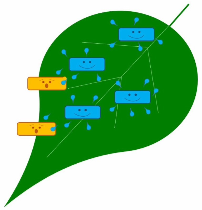 Graphic showing biopesticides at work