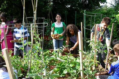 school garden