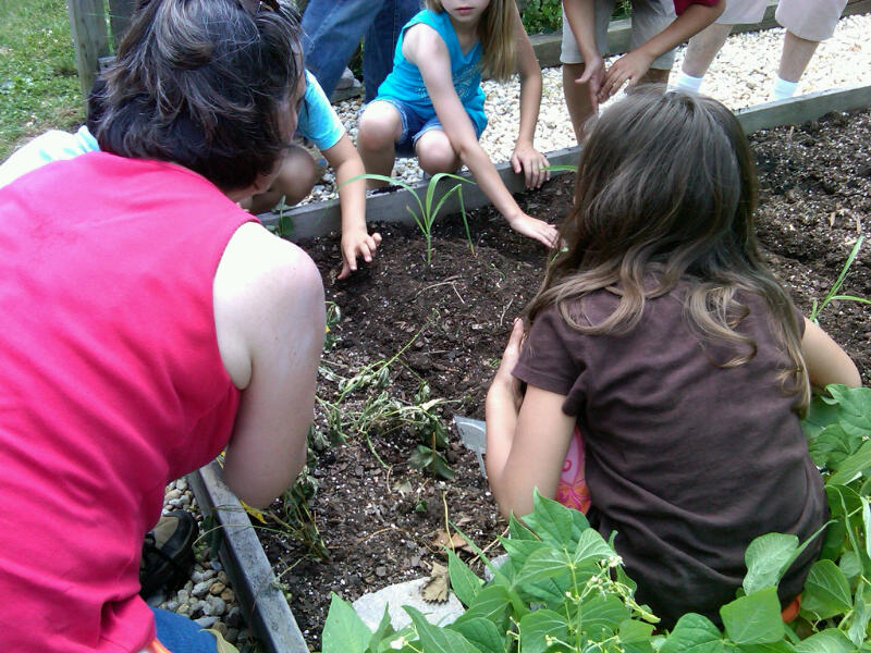 children in the garden