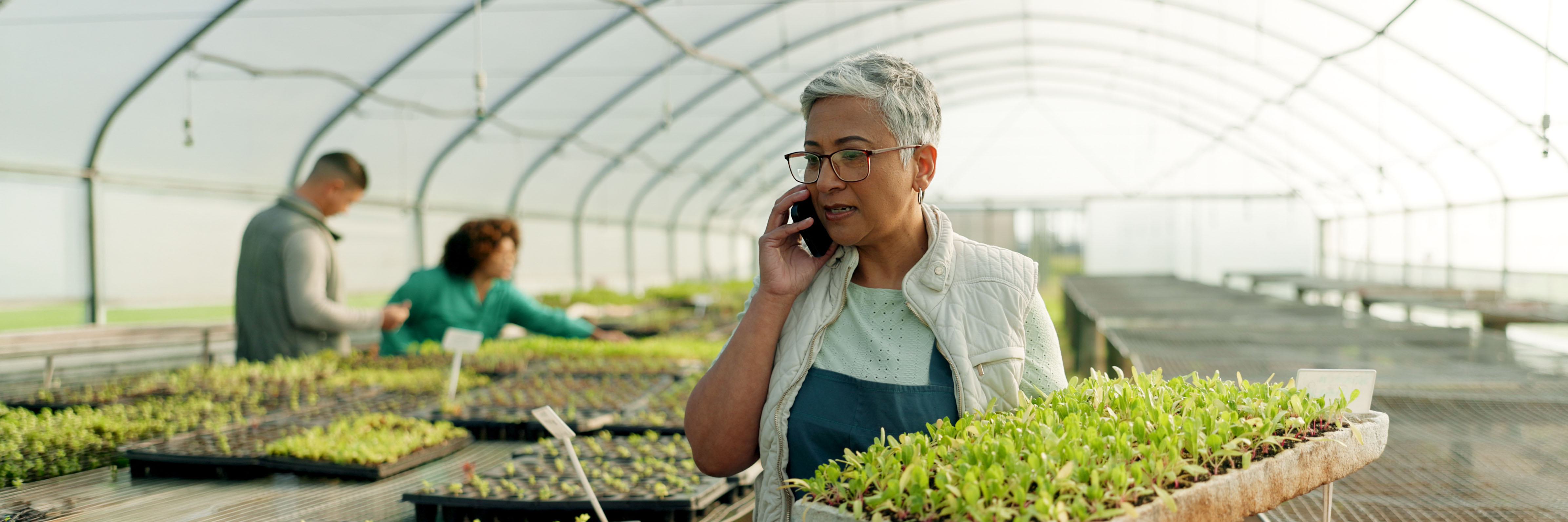 Person talking on cellphone in a commercial greenhouse.