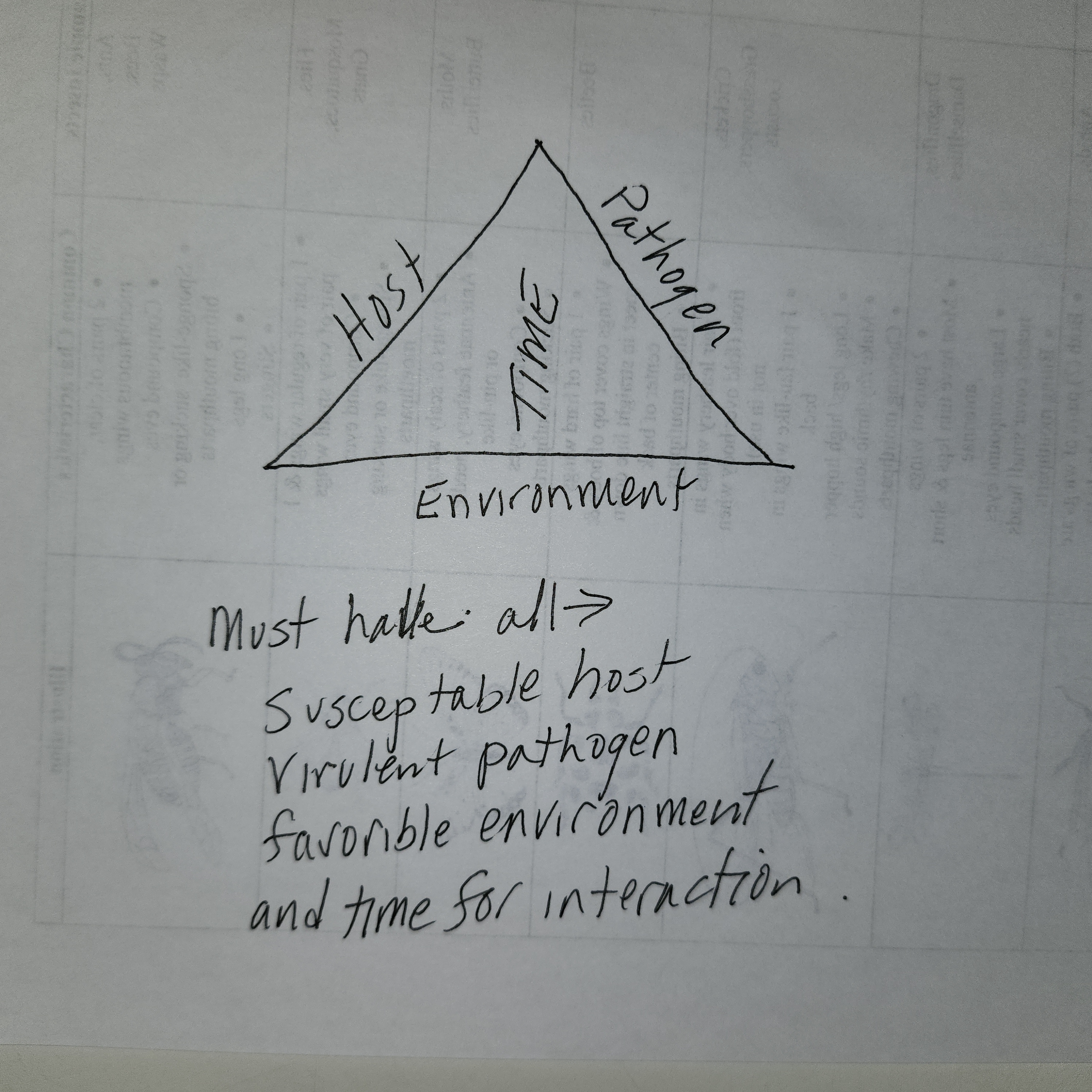 Attachment Disease PyramidTriangle.jpg