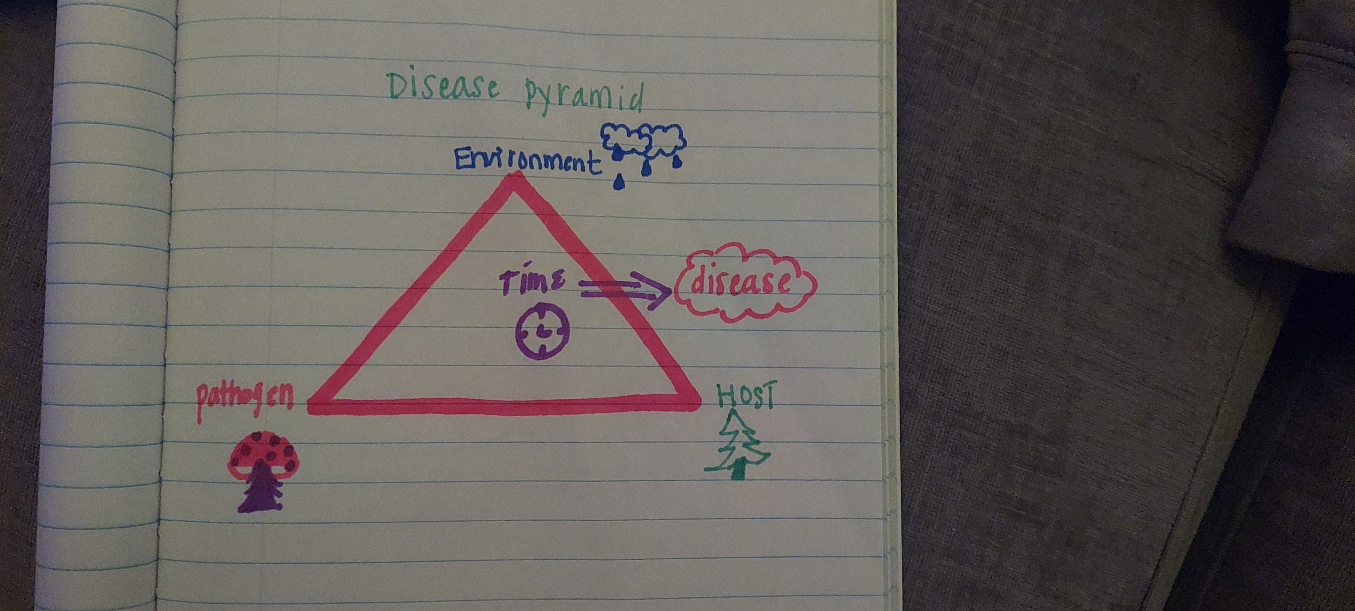 Attachment Disease pyramid .jpg
