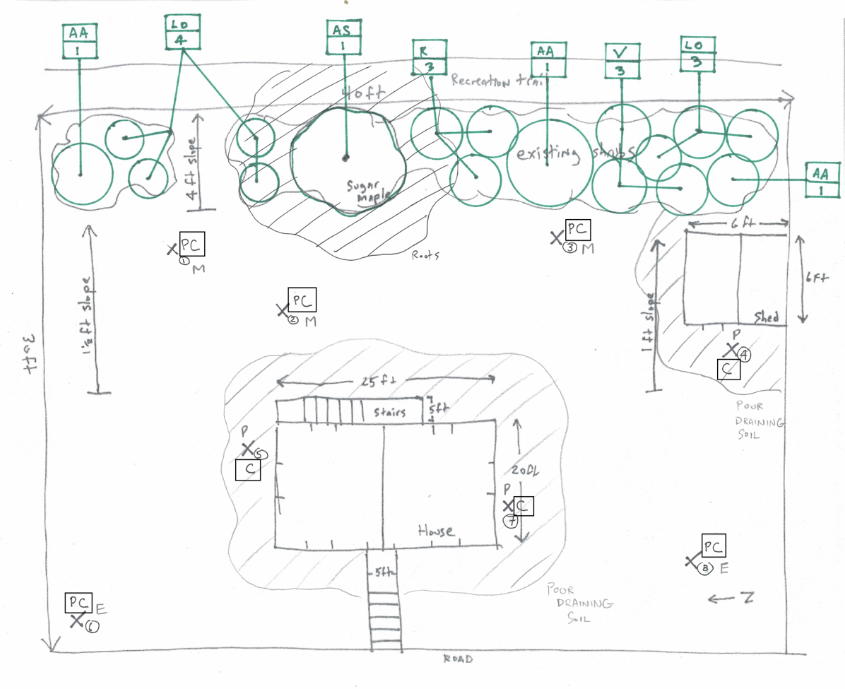 site sketch