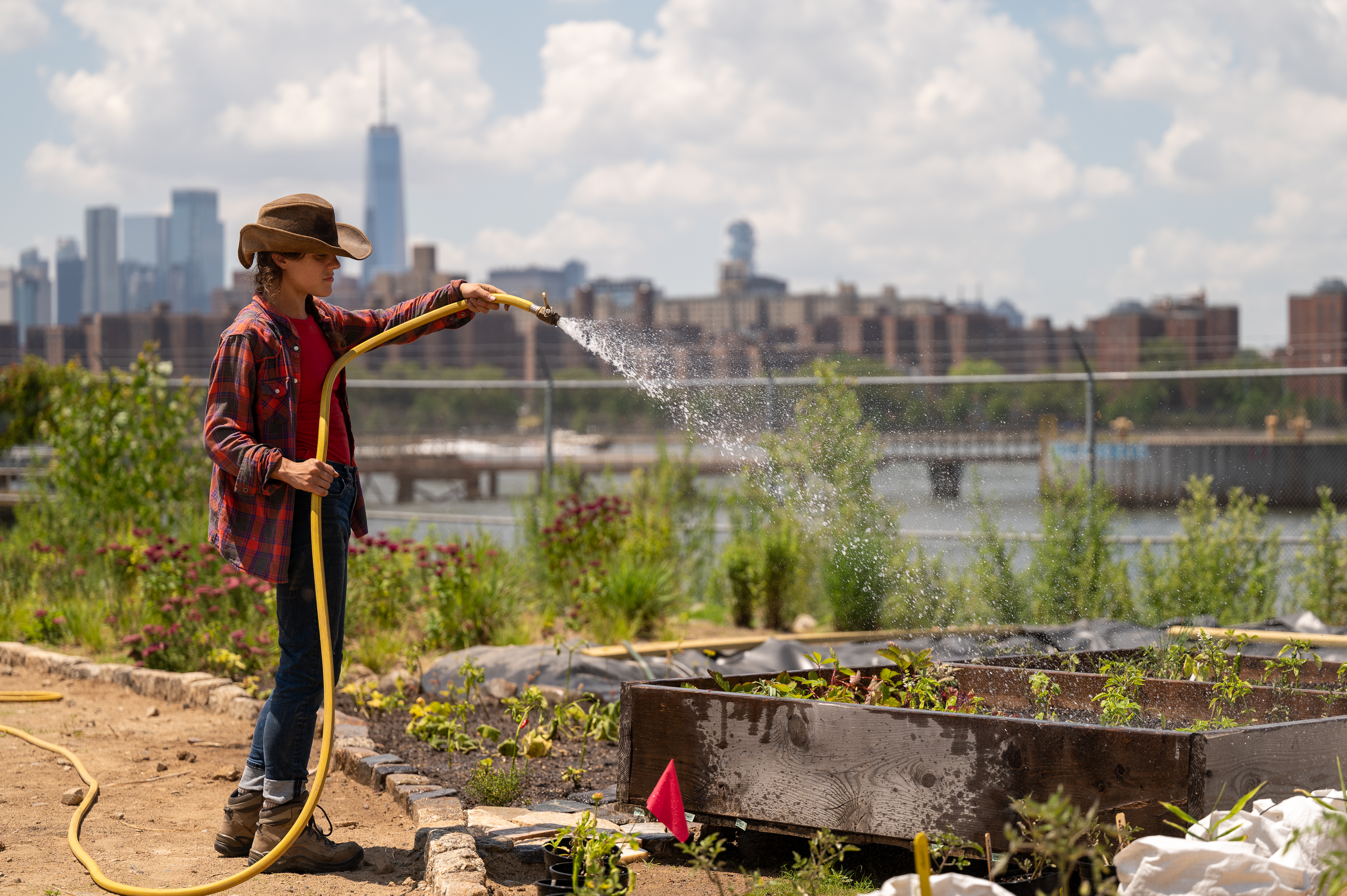 Watering the garden