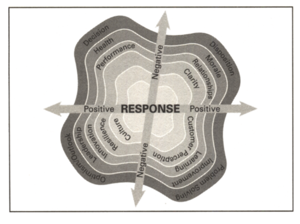 circular grey image that divides adversity responses into negative and positive