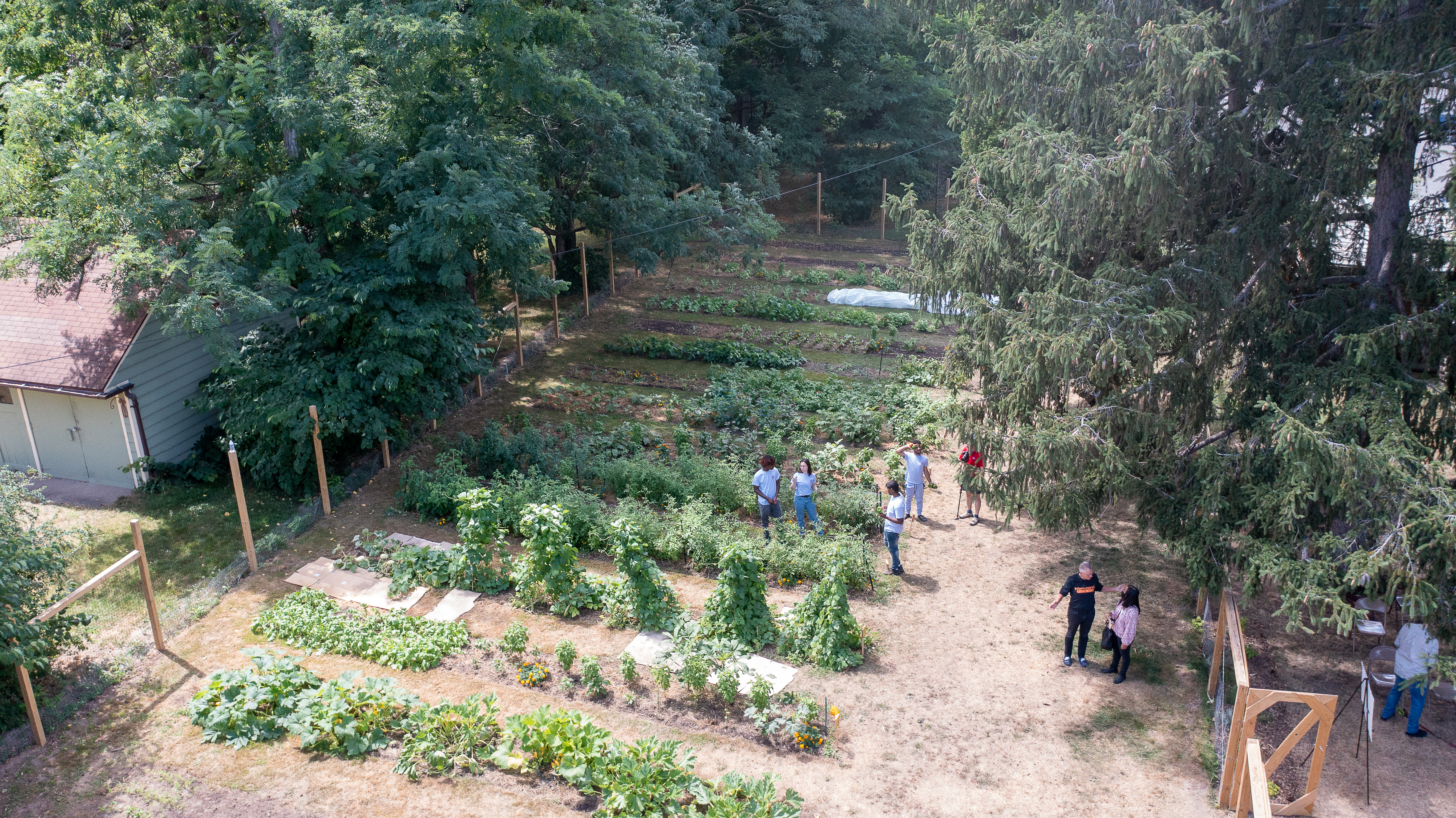 garden
